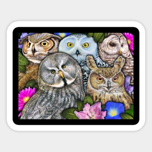 Owls Sticker